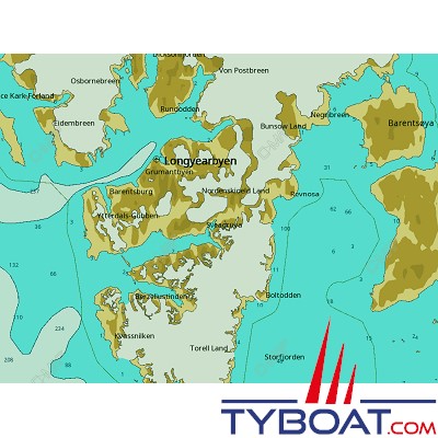 C-MAP - Carte 4D Local format SD micro SD - EN-D598 Norway Svalbard Island