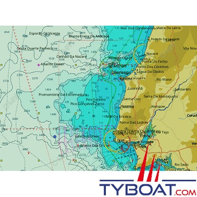 C-MAP - Carte 4D Local format SD micro SD - EW-D135 Portugal Coast