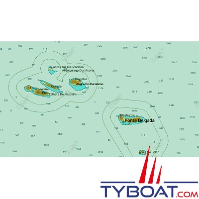 C-MAP - Carte 4D Local format SD micro SD - EW-D311 Madeira, Azores and Canary Islands