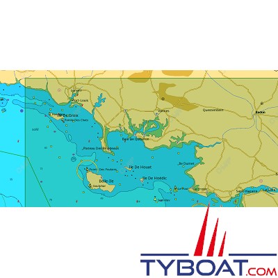 C-MAP - Carte 4D Local format SD micro SD - EW-D315 France Santander to Brigneau