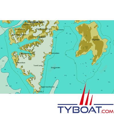 C-MAP - Carte Local Max format SD micro SD - EN-M598 Svalbard Islands