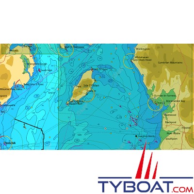 C-MAP - Carte Local Max format SD micro SD - EW-M022 Irish Sea