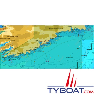 C-MAP - Carte Local Max format SD micro SD - EW-M029 Ireland Stranford Lough to Saltee