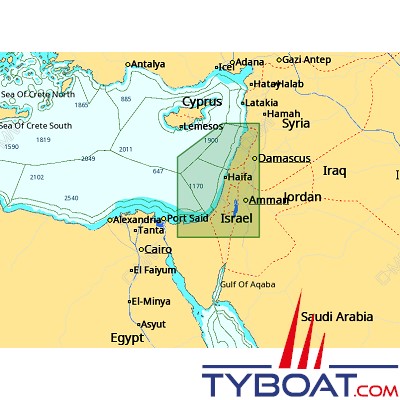 C-MAP - Carte Local Max format SD micro SD - ME-M006 Israel et Lebanon