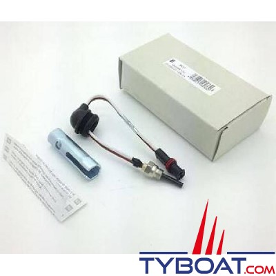 Eberspächer - Bougie de préchauffage avec clé pour Airtronic B4 D2 D4 D4 +