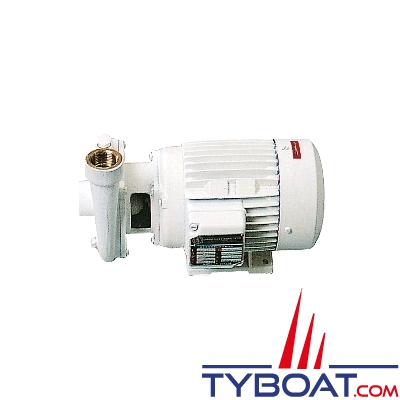 Gianneschi - Electropompe CB22 - 220/400 Volts - 125 L/min - Bronze