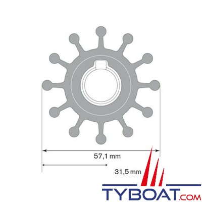 Johnson Pump - 09-801B - Turbine pour pompe F5 néoprène - Ø 57.1 mm 