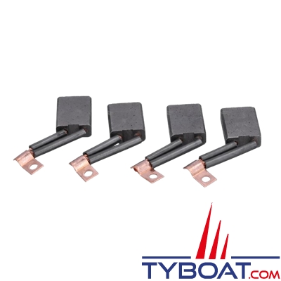 Lewmar - Kit charbon pour propulseurs 140TT