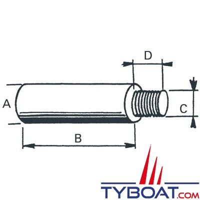 Anode bougie pour Bukh 3/8