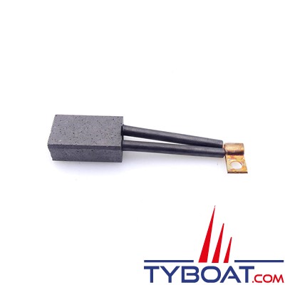 Max Power - Motor Brushes pour CT100/125 - 24V 