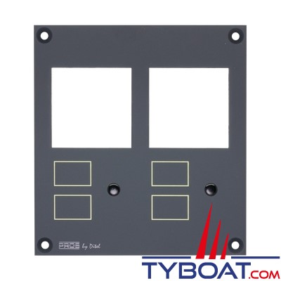 Pros by Ditel - Module pour 2 instruments analogiques 48x48mm et 4 micro-commutateurs - PROSLIN2