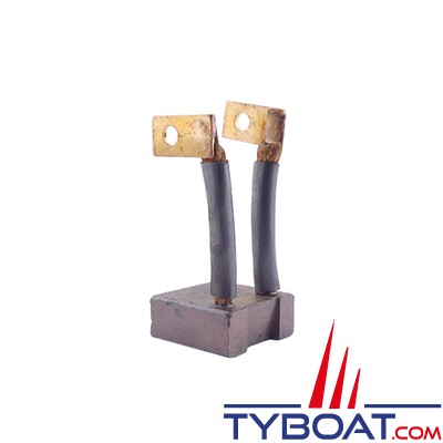 Quick - Kit 4 charbons type G pour BTQ 180 55/65 (12/24V) 