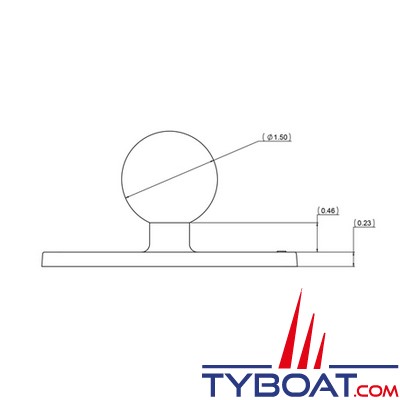 Ram Mounts - Platine rectangulaire avec boule C - RAM-202U-24