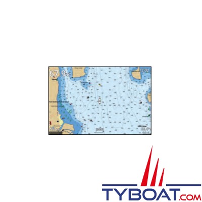 Raymarine - Carte Micro SD préchargée - Cartographie LightHouse zone France