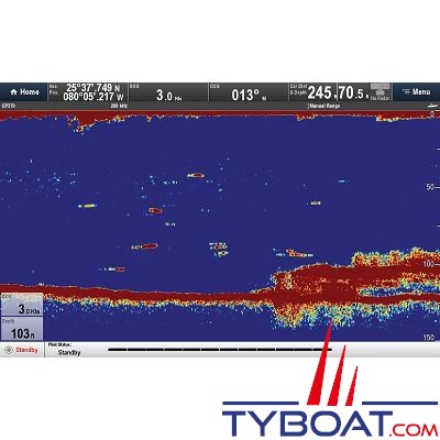 Raymarine - CP370 ClearPulse 1KW Sonar Module