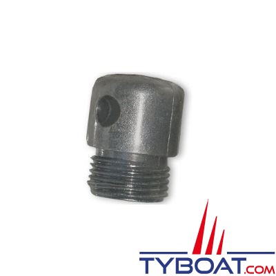 Raymarine - Embout de vérin ST1000/2000/Tiller/Tiller GP