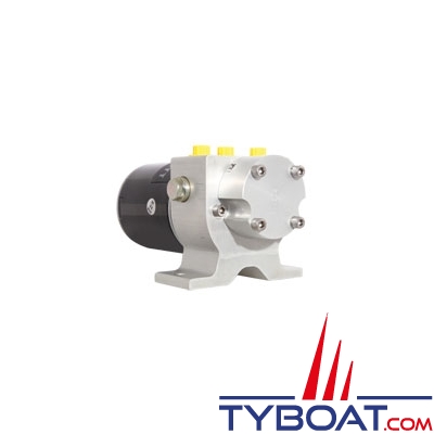 Raymarine - Pilote automatique Evolution EV-150 avec pompe hydraulique Type 1