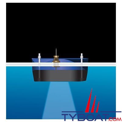 RAYMARINE - R109 D/T Sonde Traversante Low-High 2KW molded Transducer