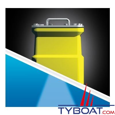 Raymarine - R111 D/T Sonde traversante Low-Medium 2KW Molded