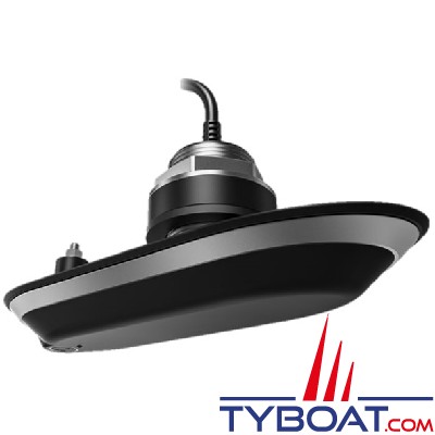 Raymarine - Sonde traversante babord 20° - RV-420P inox - Câble 2 mètres