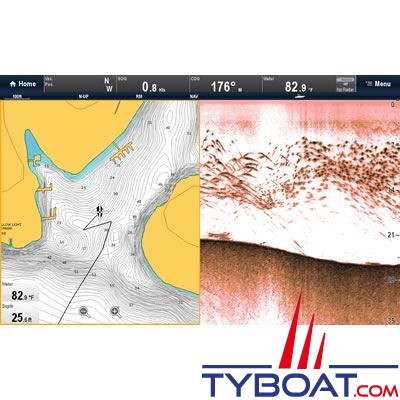 Raymarine - Sondeur CHIRP DownVision CP100