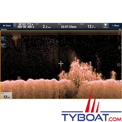 Raymarine - Sondeur CHIRP DownVision CP100