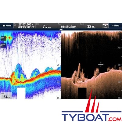 Raymarine - Sondeur CHIRP DownVision CP100