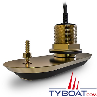 Raymarine - Sonde RV-200 RealVision 3D - Traversante bronze 0°