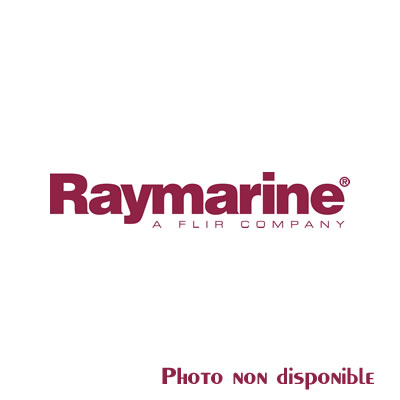 Raymarine - Support pour afficheur déporté sans fil Tacktick T113