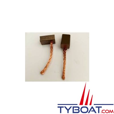 B&G - RAM-BRSH-T1 - Charbons moteur T1/T2