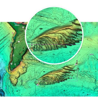 Cartes C-MAP® Reveal® X