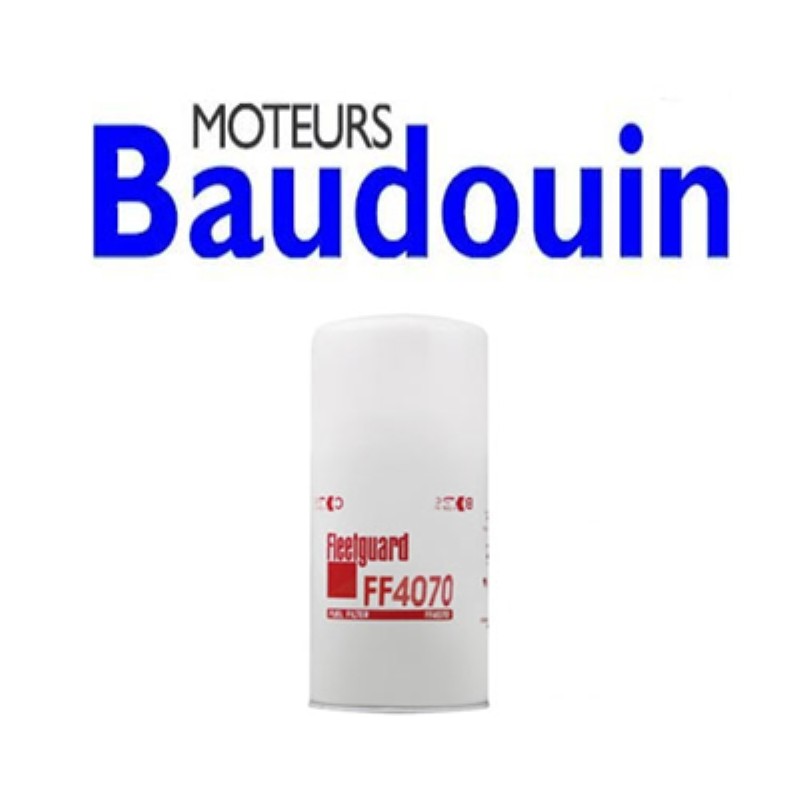 Filtres Diesel pour Baudouin
