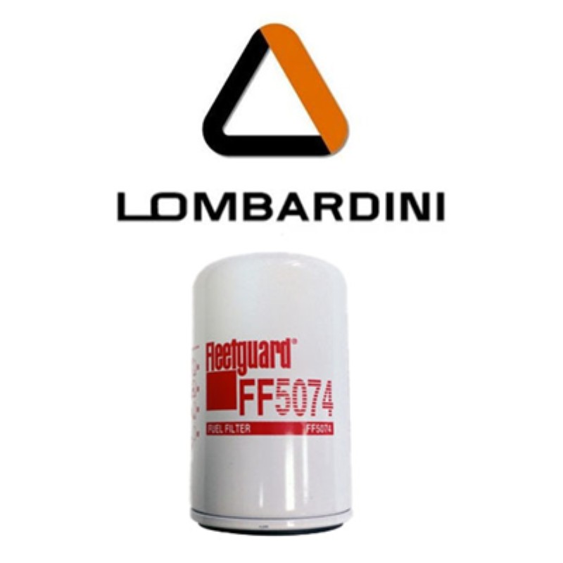 Filtres Diesel pour Lombardini