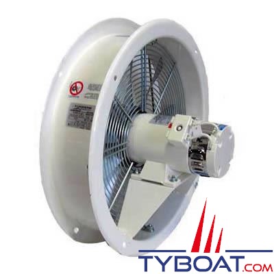 Ventilateur hélicoïdal GIANNESCHI ELL315 24c  1650m3/heure