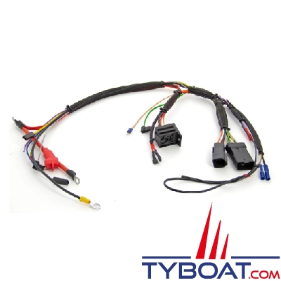 Vetus - Engine wiring for M2-M3 M2-M3
