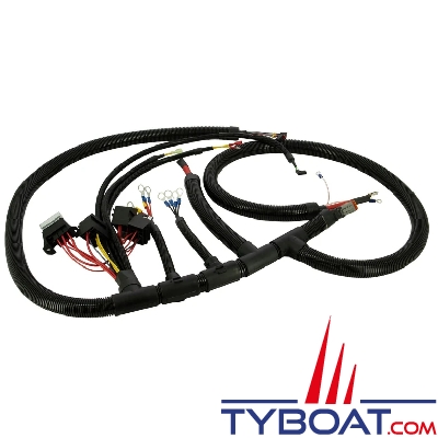 Vetus - Motor wiring lenghts color and connectors