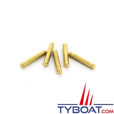 Vetus - Set: shear-pin (5x) for bow thruster 55 kgf