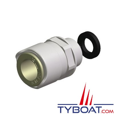 WHALE - Raccord 1/2 pouce mâle BSP - WX1515B