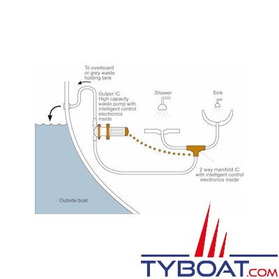 WHALE - Système automatique GULPER IC pour eaux usées gérant l'évacuation à partir de 2 entrées - 12V - WM8284