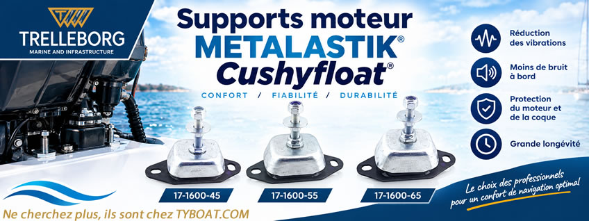 Supports moteur Trelleborg